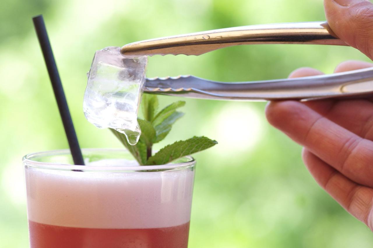 Domaine Du Ferret Restaurant & Spa Lège-Cap-Ferret Zewnętrze zdjęcie