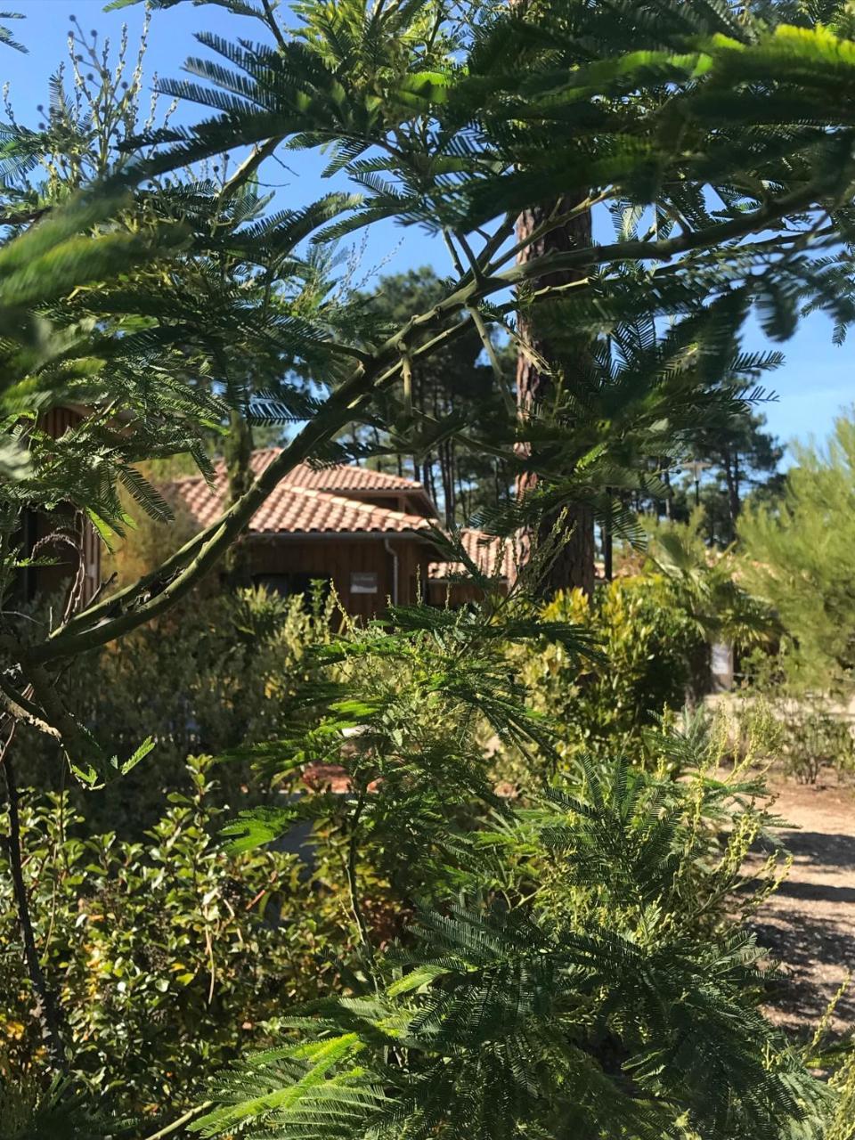 Domaine Du Ferret Restaurant & Spa Lège-Cap-Ferret Zewnętrze zdjęcie